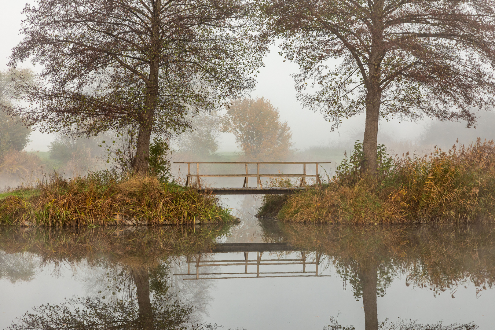 Novembernebel