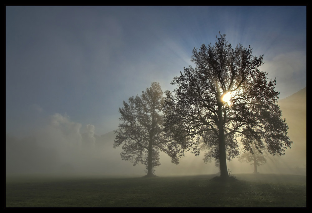 Novembernebel