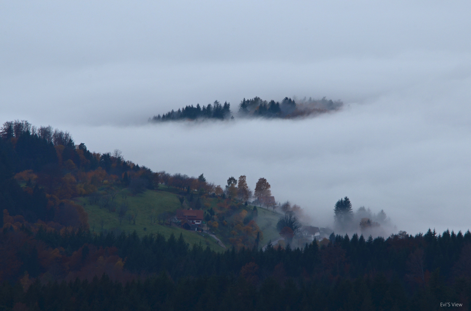 Novembernebel...