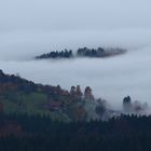 Novembernebel...