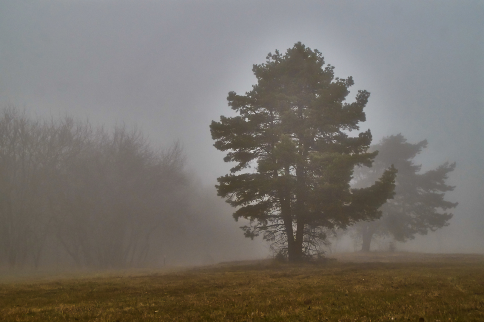 Novembernebel