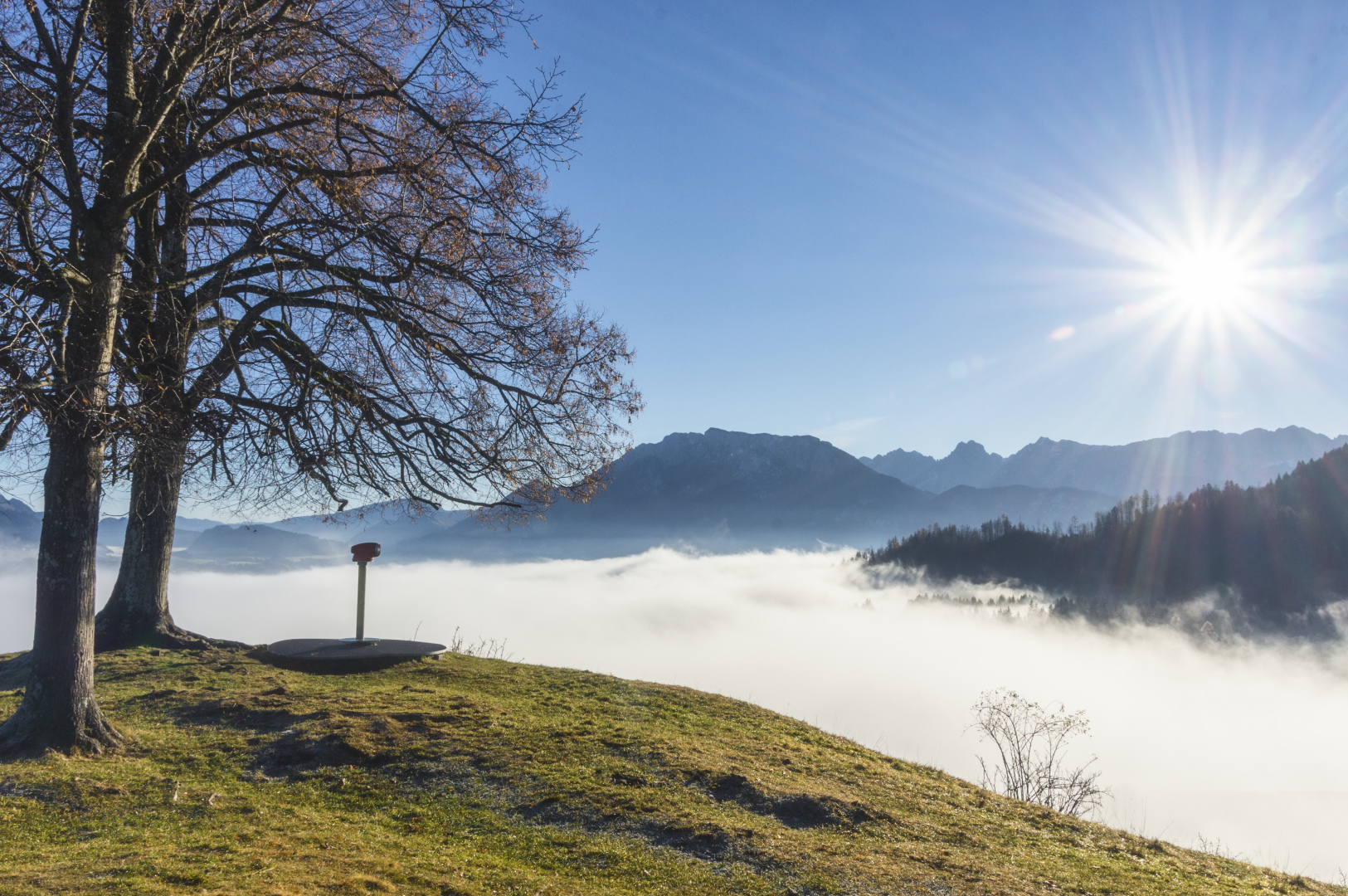 Novembernebel