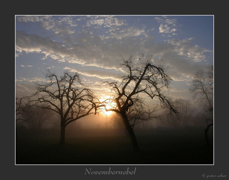 Novembernebel