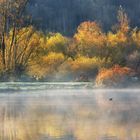 Novembernebel aber mit viel Farbe....