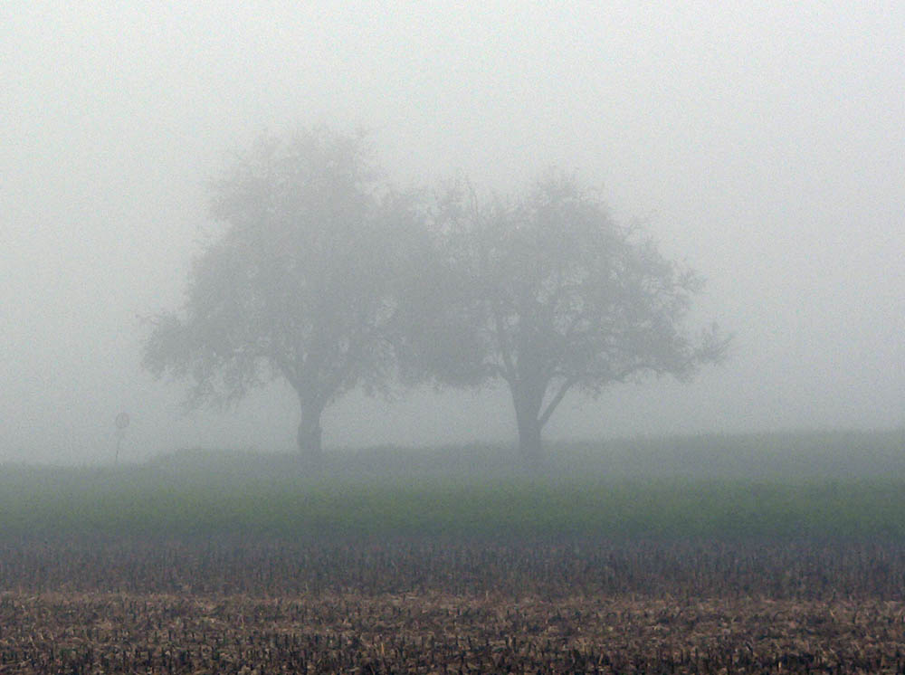 Novembernebel am letzten Oktobermorgen