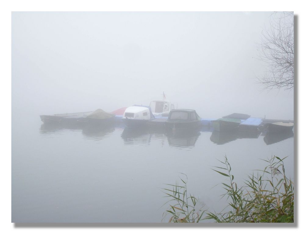 Novembernebel am See