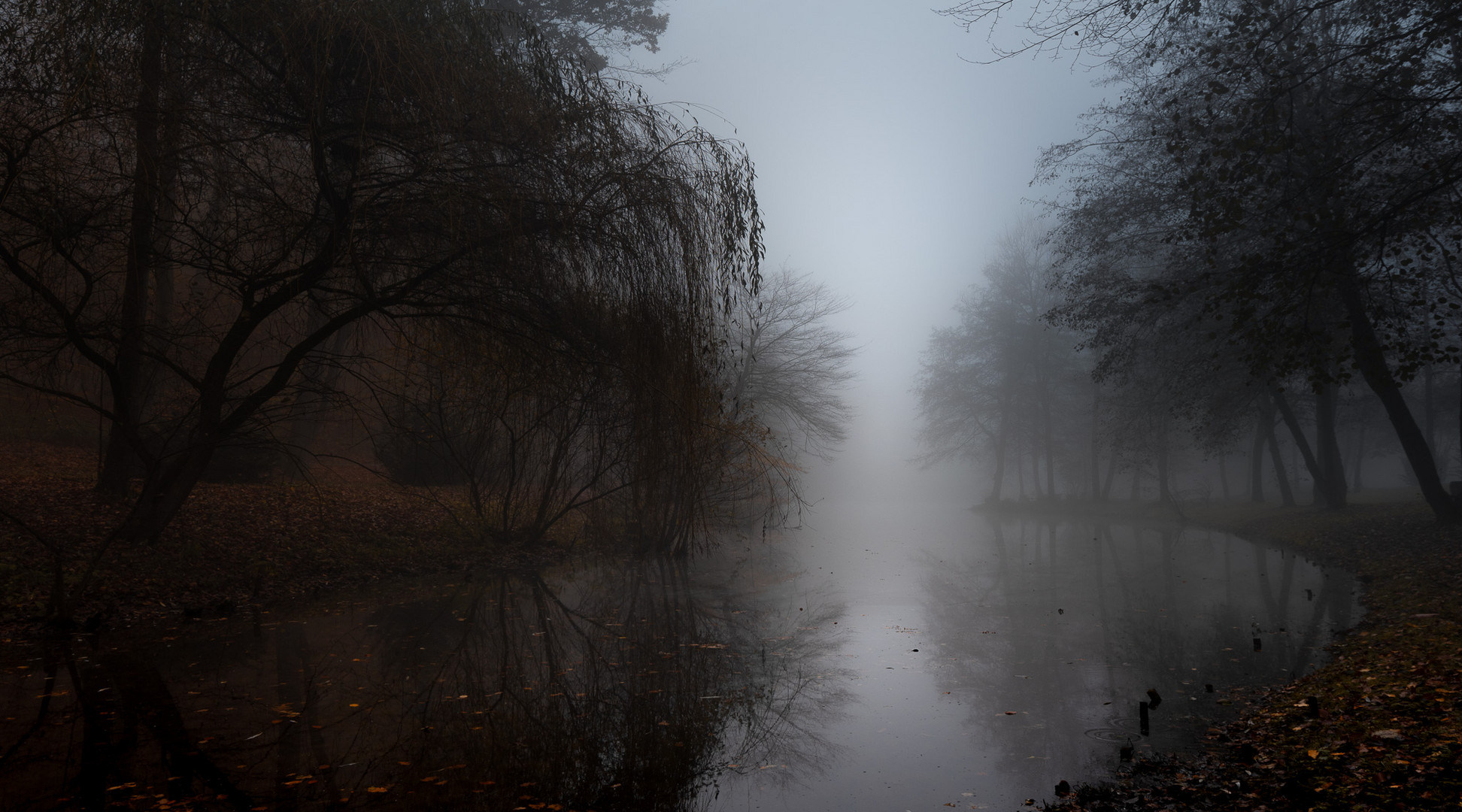 Novembernebel am See