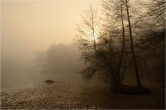 Novembernebel