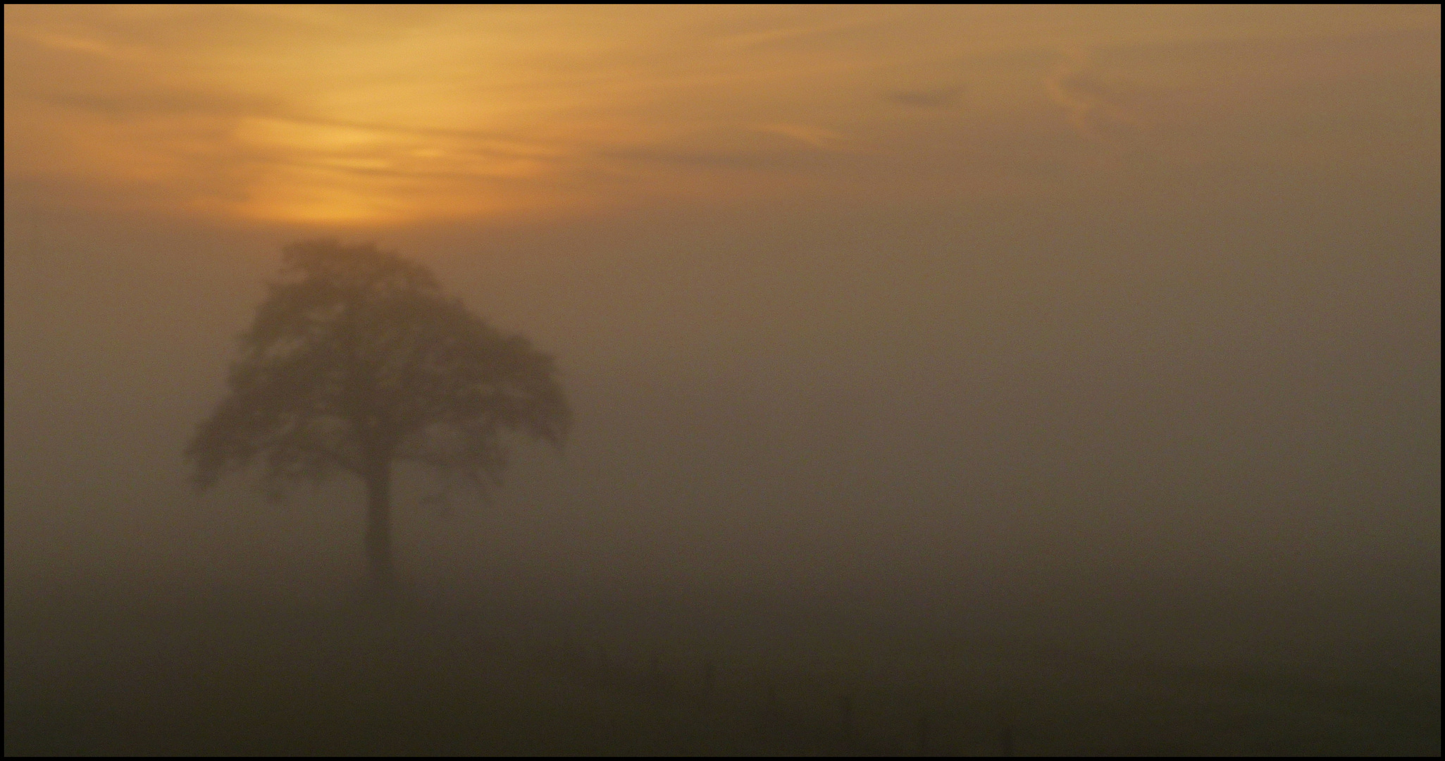 Novembernebel