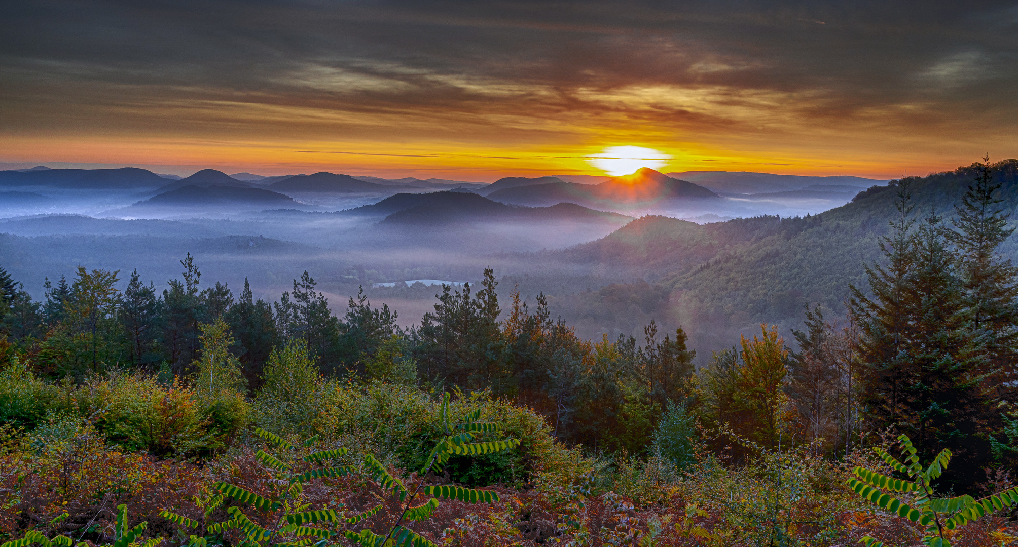 Novembernebel