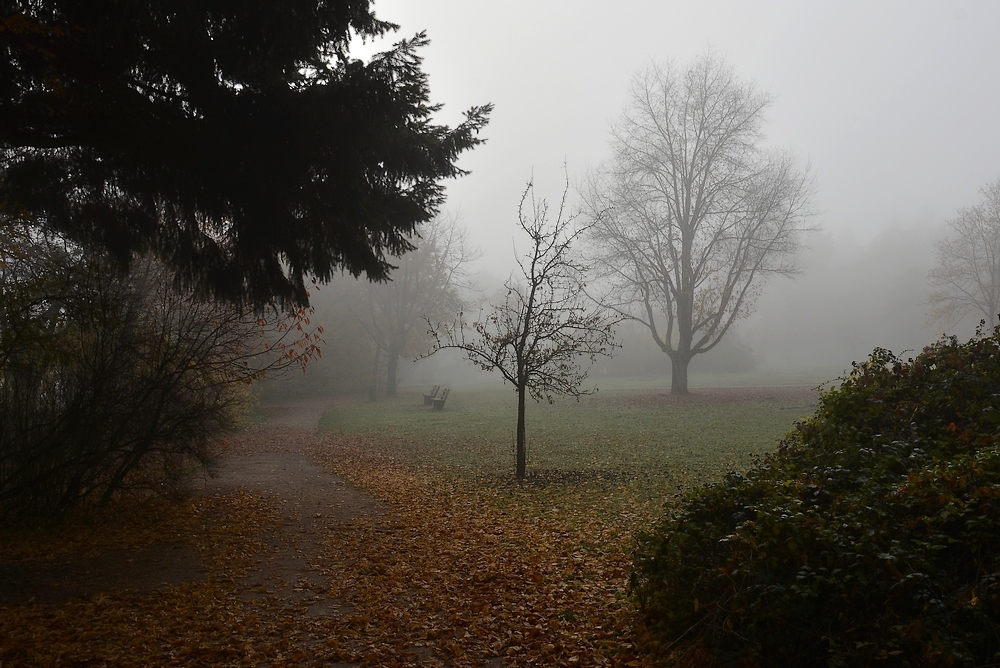 Novembernebel...