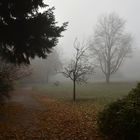 Novembernebel...