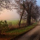 - Novembernebel -