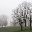 Novembernebel