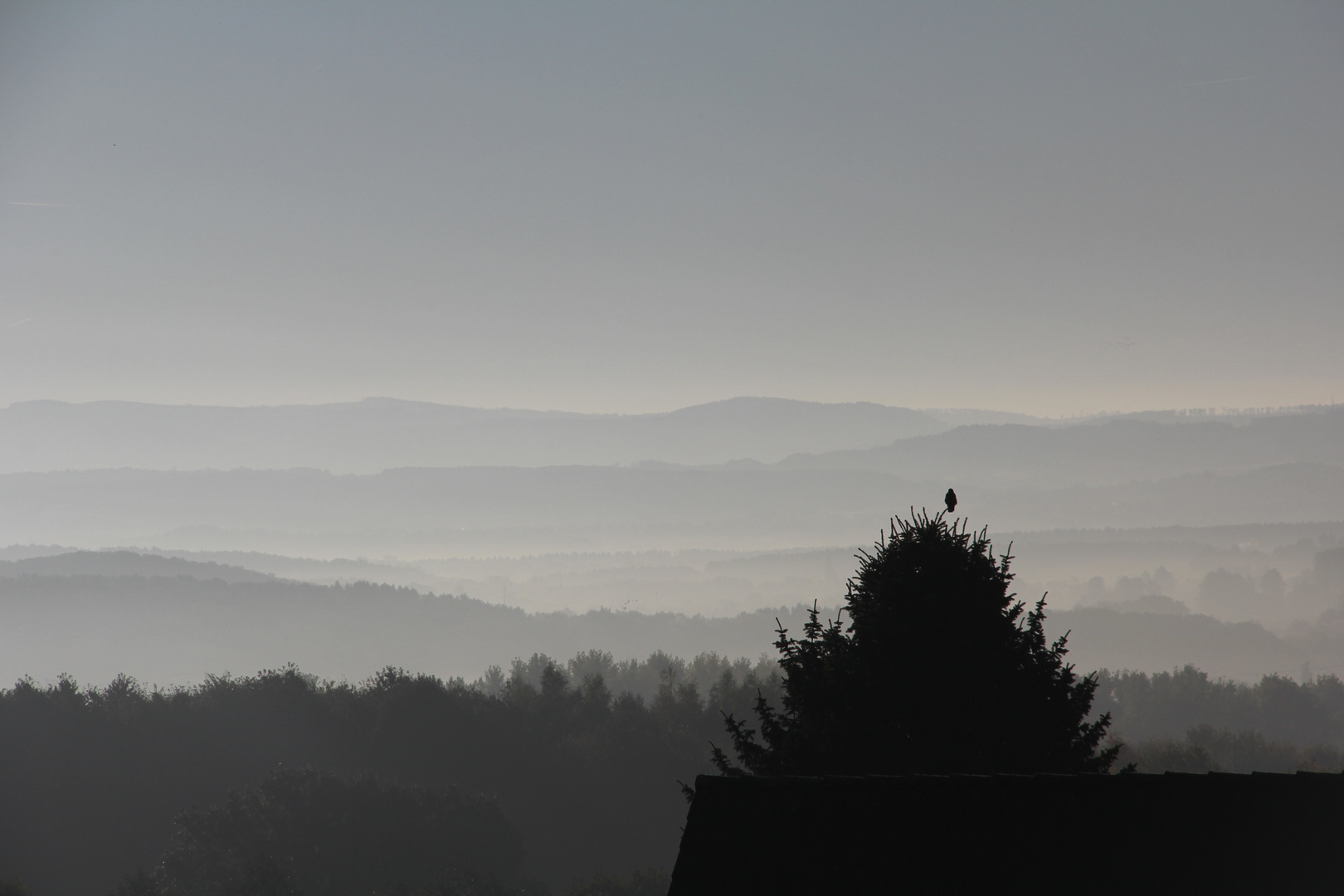 Novembernebel