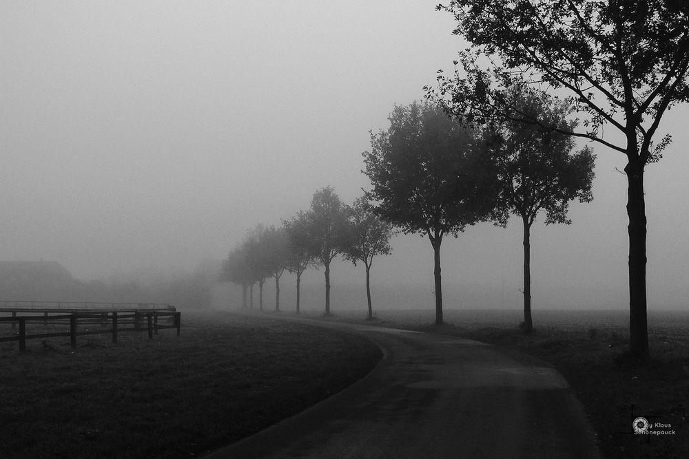 Novembernebel