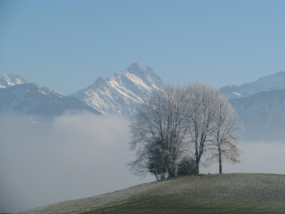 Novembernebel