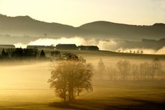 Novembernebel