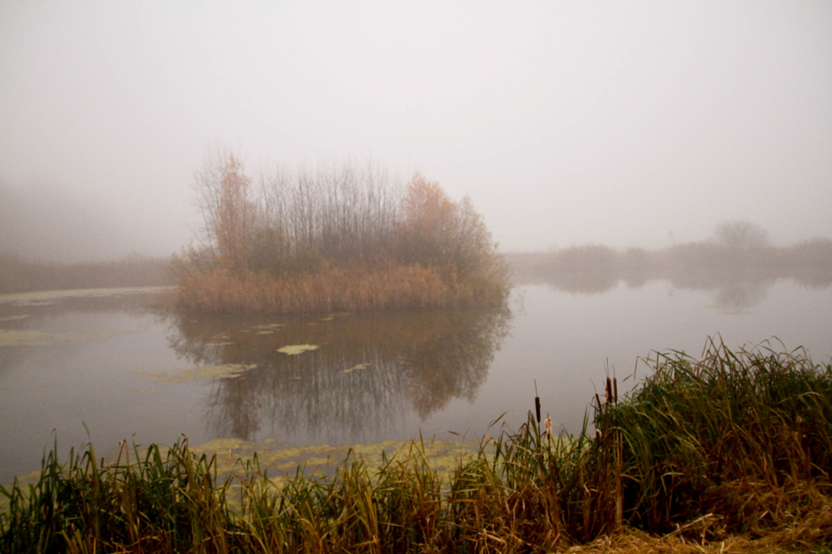 Novembernebel.....