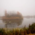 Novembernebel.....