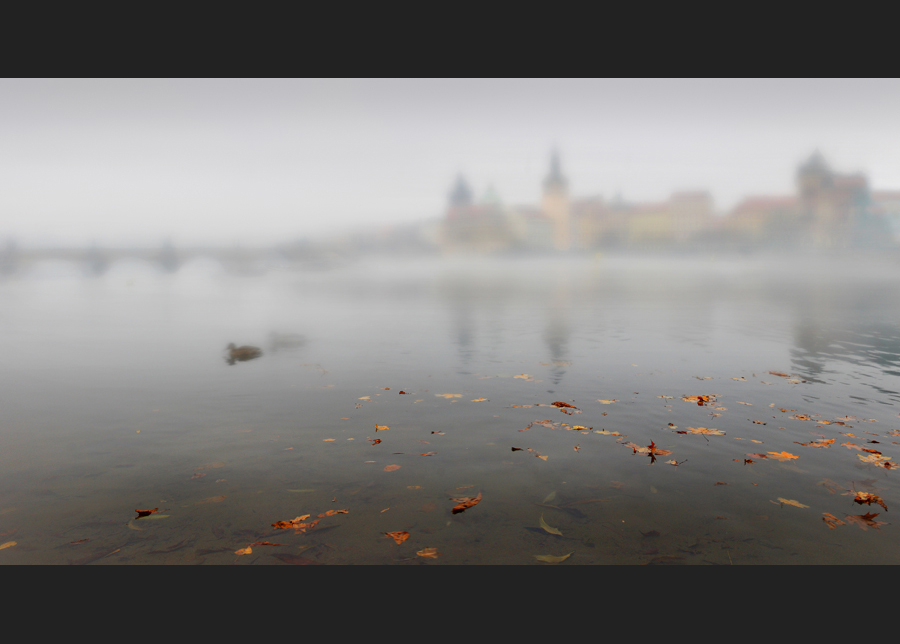 Novembernebel II