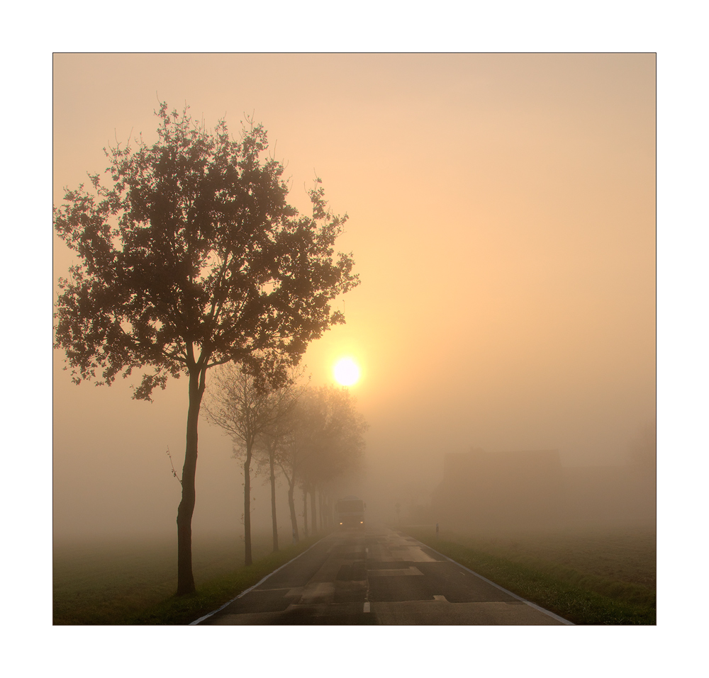 Novembernebel im Münsterland