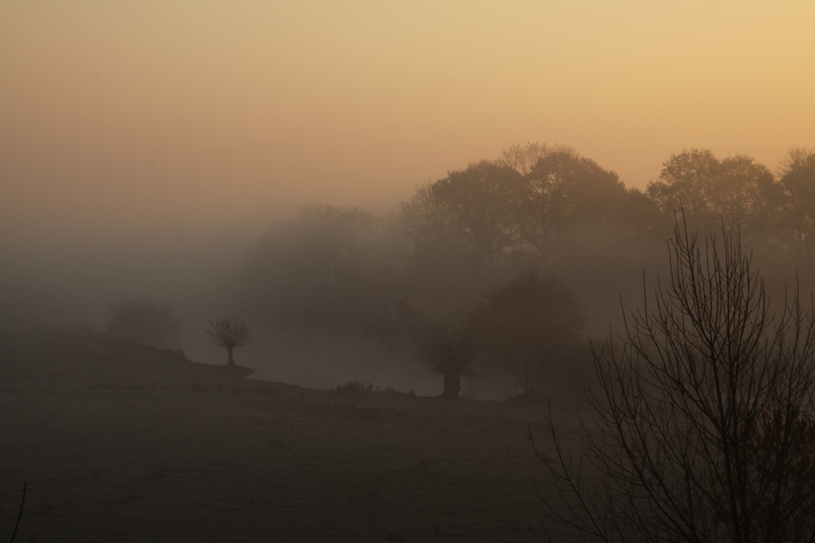 Novembernebel in den Lippeauen