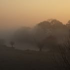 Novembernebel in den Lippeauen