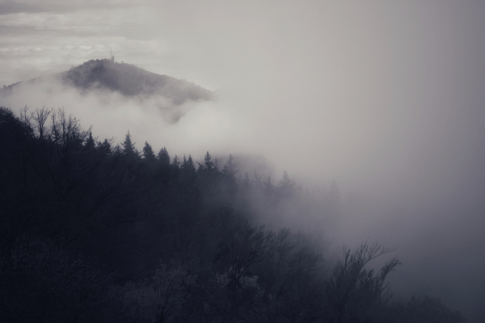 NovemberNebel über Baden-Baden 2