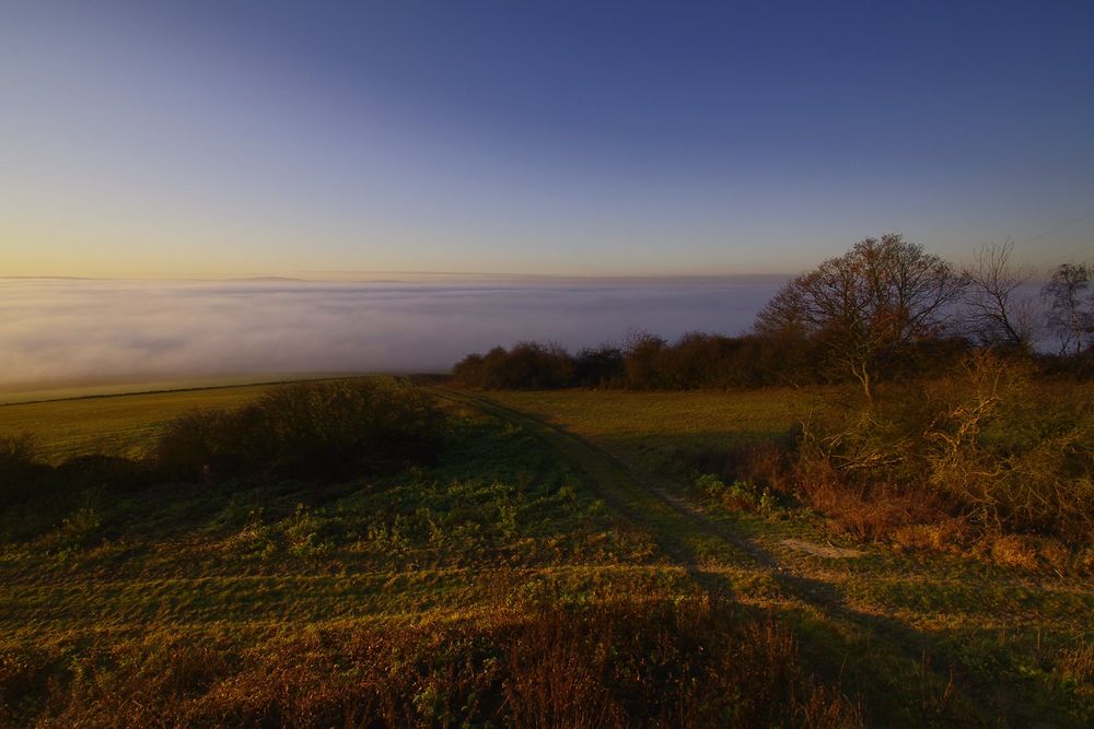 Novembernebel VI