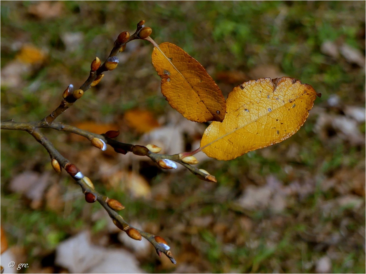 Novemberrückblick