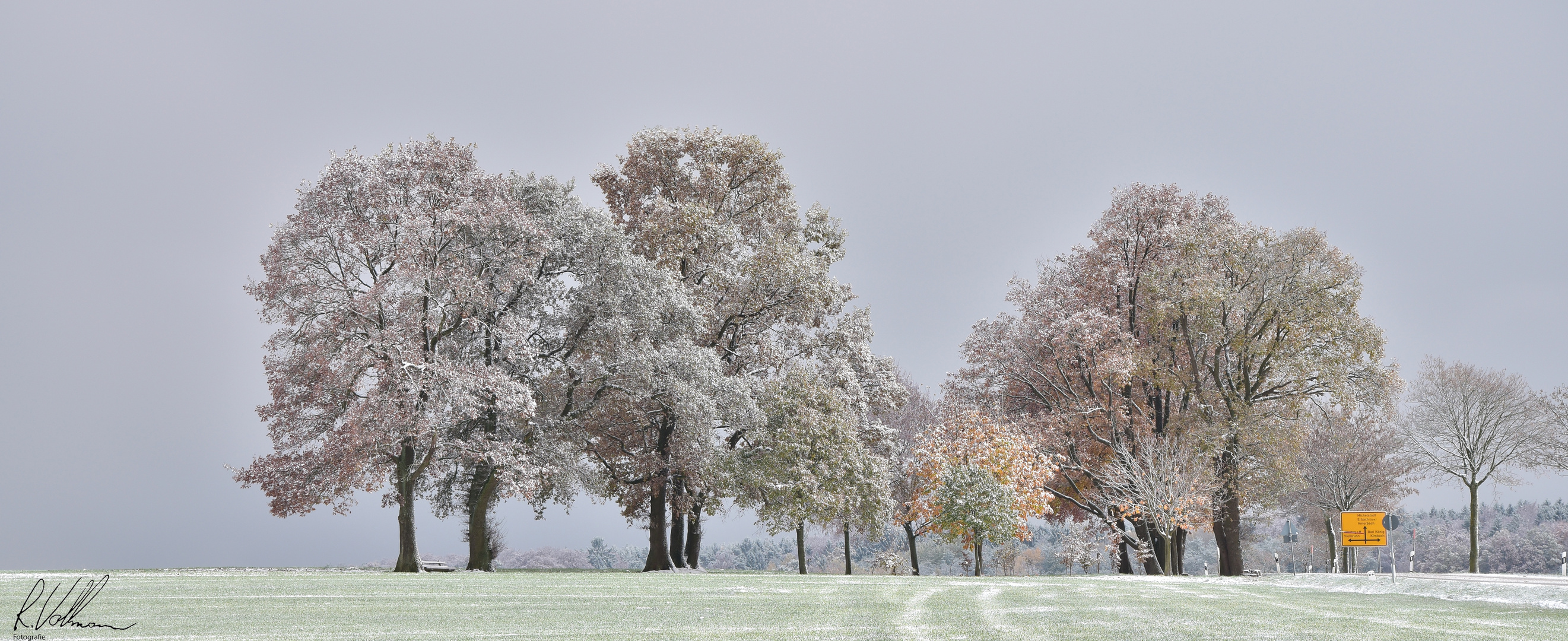 Novemberschnee