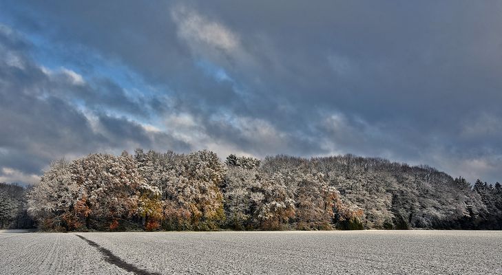 Novemberschnee....
