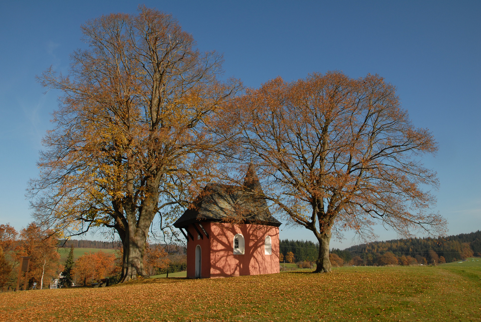 Novembersonne 1