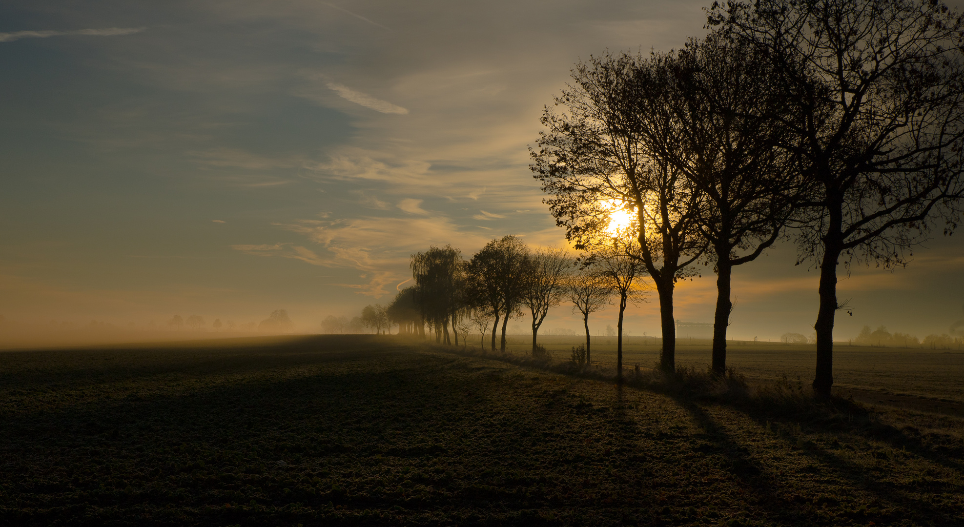 Novembersonne