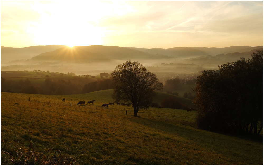 Novembersonne