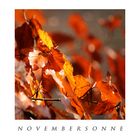 Novembersonne