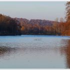 Novembersonne auf der Ruhr