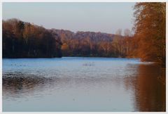 Novembersonne auf der Ruhr