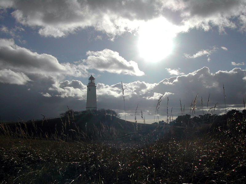 Novembersonne auf Hiddensee