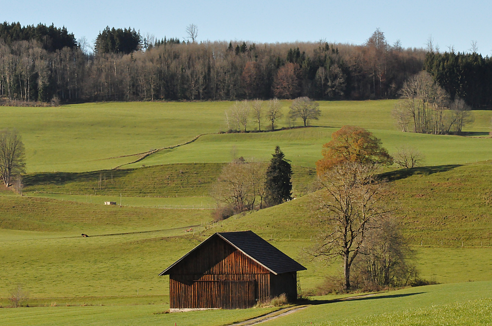 Novembersonne