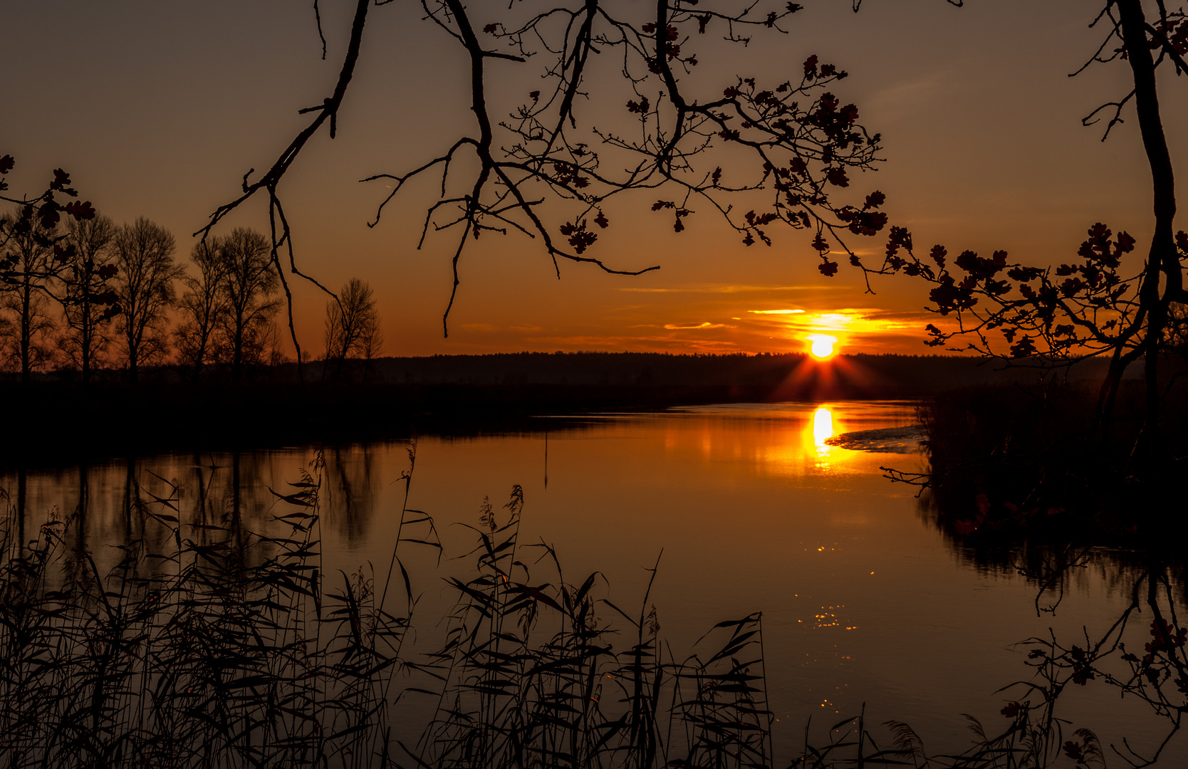 novembersonne