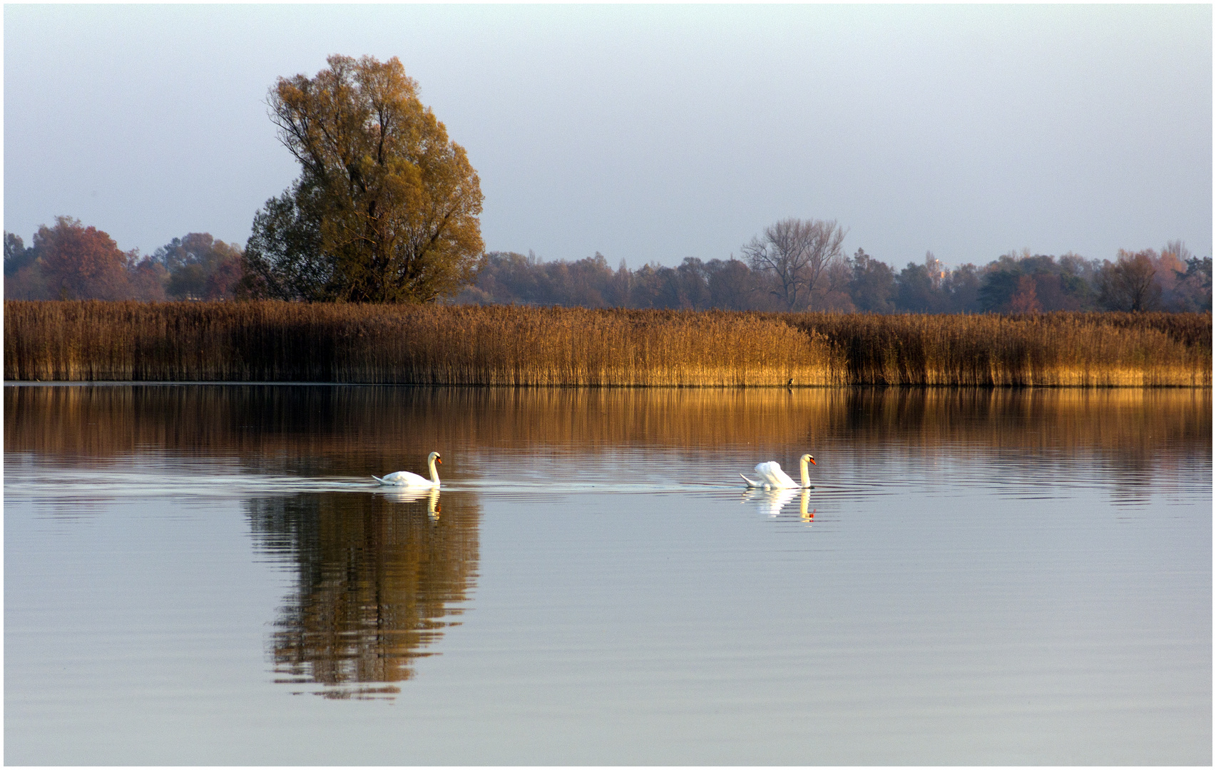 Novembersonne