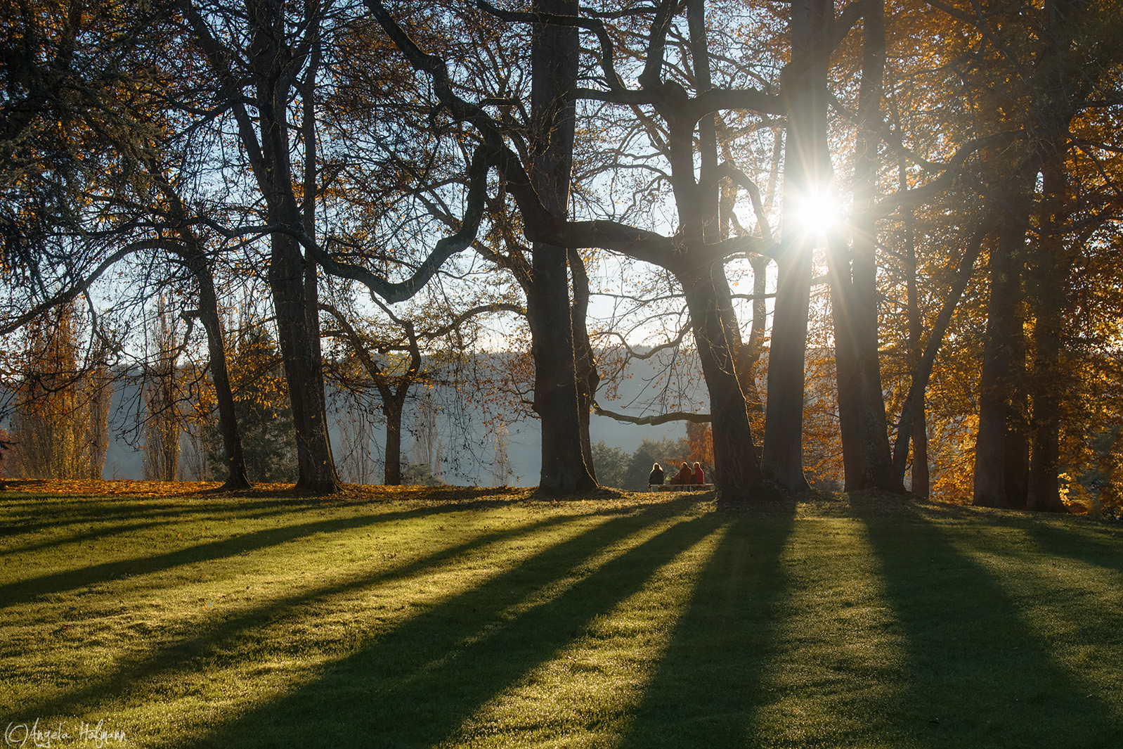 Novembersonne