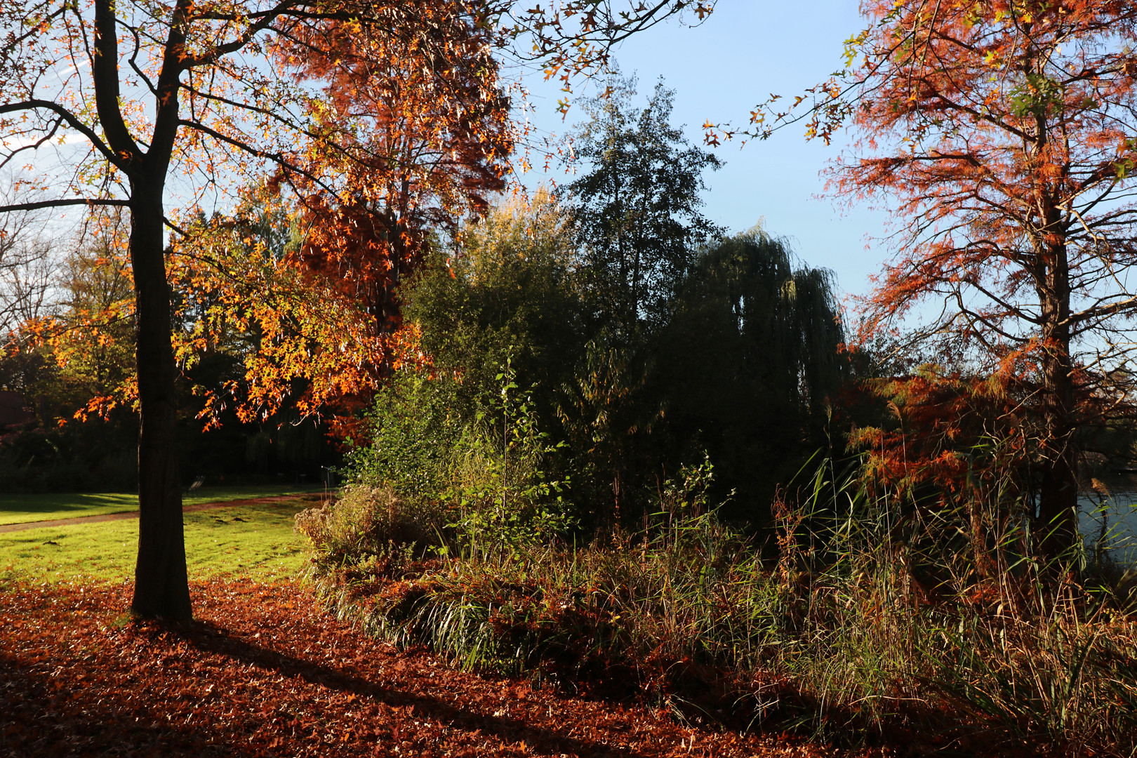 Novembersonne im Schulgarten