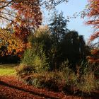 Novembersonne im Schulgarten