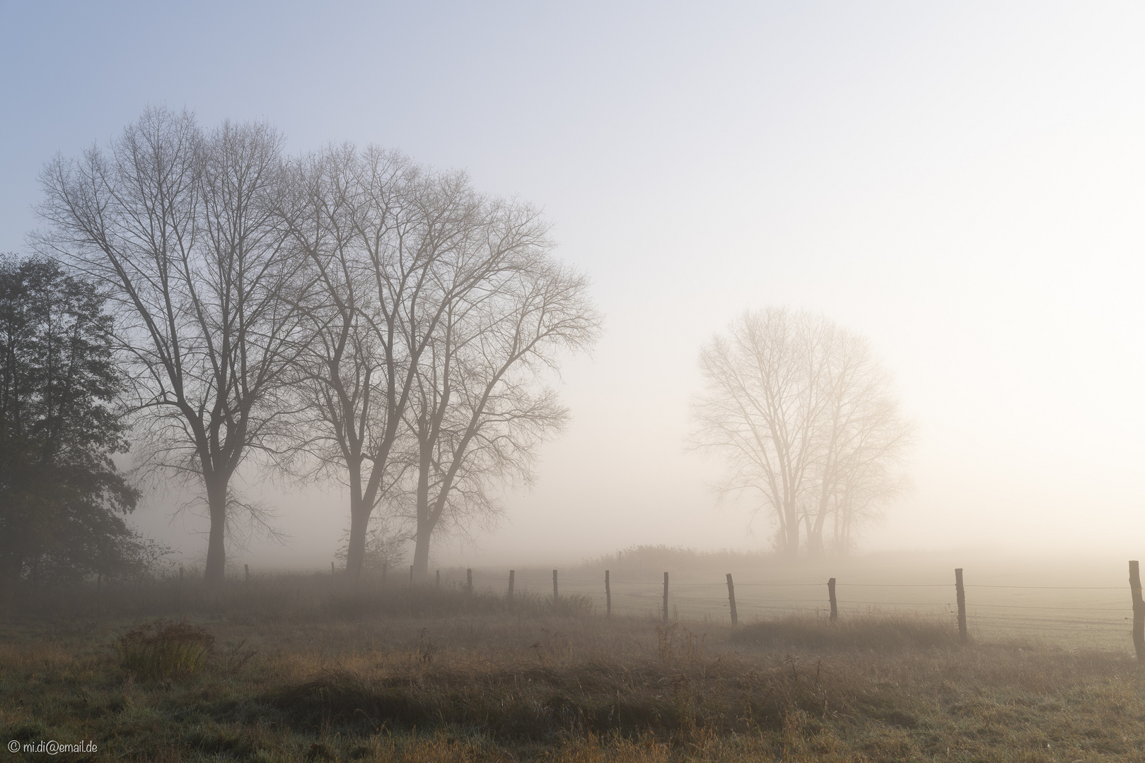 Novembersonne trifft Morgennebel (1)