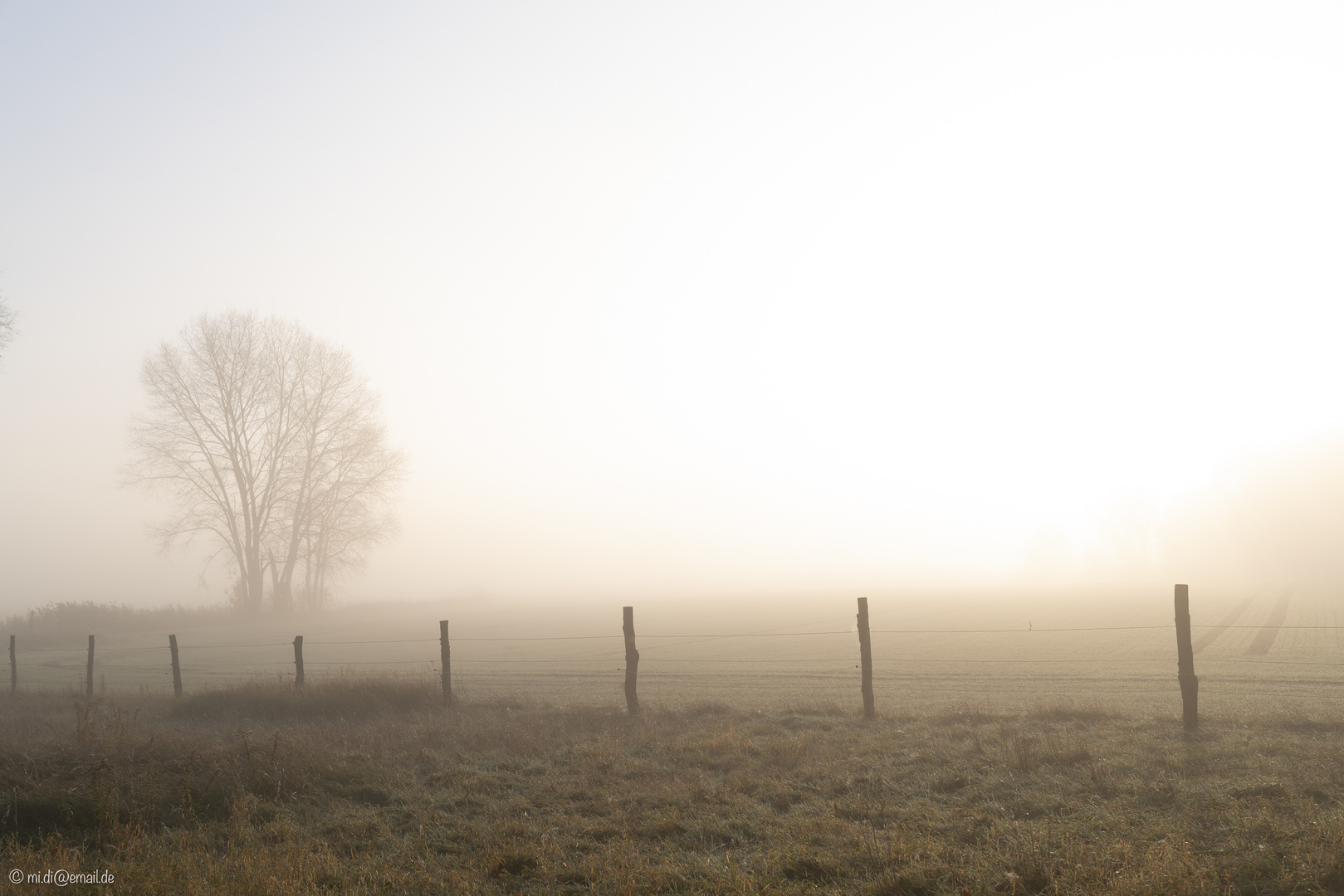 Novembersonne trifft Morgennebel (2)