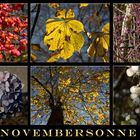 Novembersonnencollage