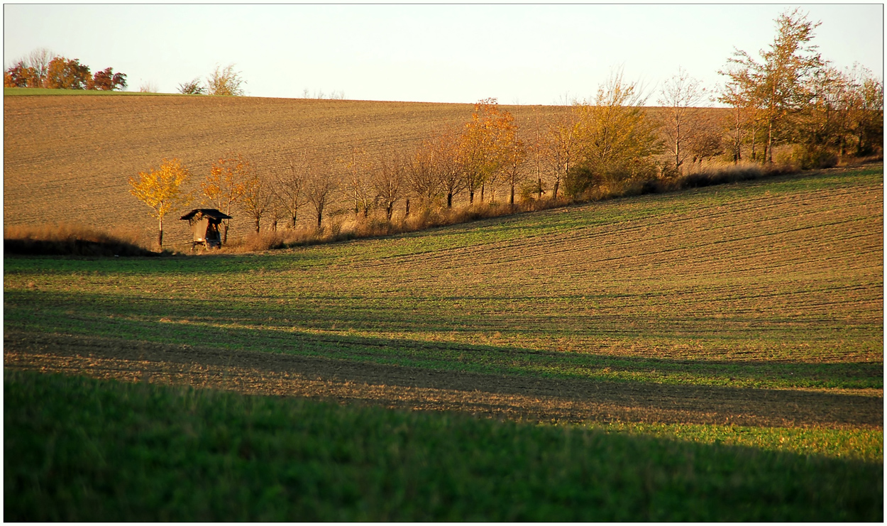 Novembersonnenschein...